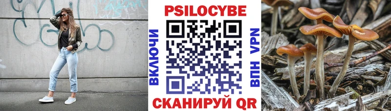 Псилоцибиновые грибы Psilocybine cubensis мориарти наркотические препараты blacksprut ТОР Шилка закладка